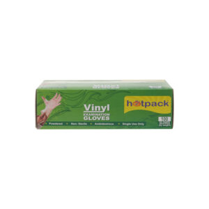 Vinyl Gloves - L
